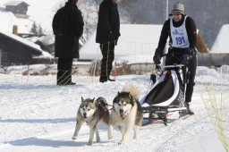 Lenk 2012 SM